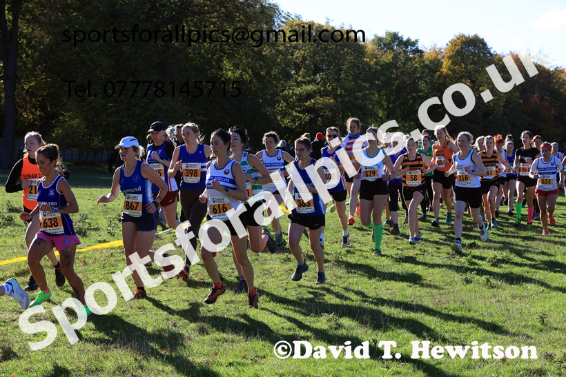 Senior Womens 2025 Start Fitness NEHL, Lambton, County Durham. Photo: David T. Hewitson/Sports for All Pics